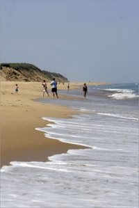 7 Pantai Terindah Di Amerika Serikat.serbatujuh.blogspot.com
